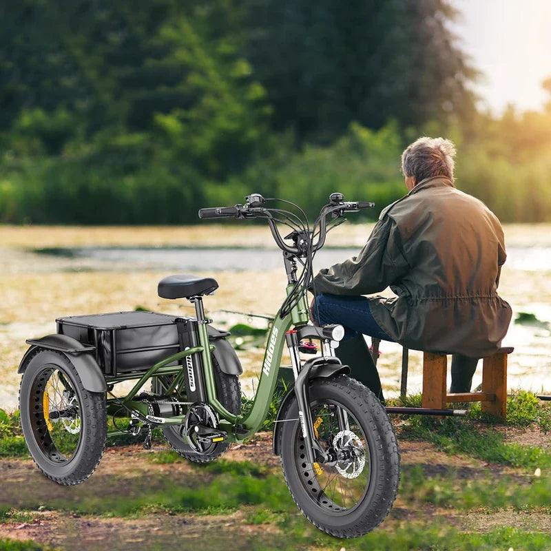 Hidoes HD-ET1 elektriskais trīsritenis ar aizmugurējo bagāžnieku, 750W. Hidoes HD-ET1 elektriskais trīsritenis ar aizmugurējo bagāžnieku, 750W.